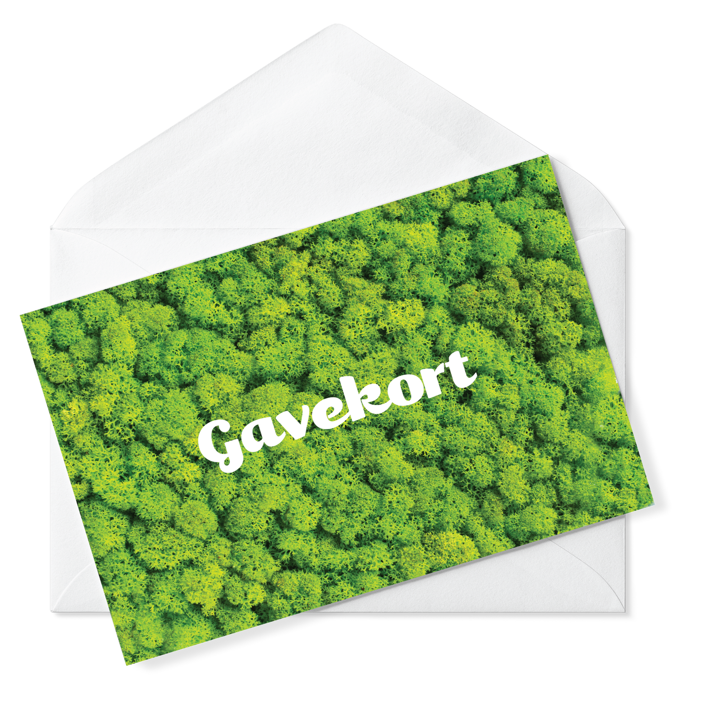 Gavekort 260,-