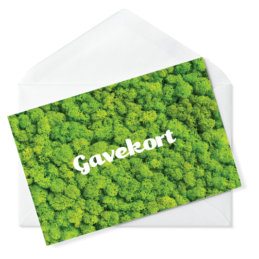 Gavekort 260,-